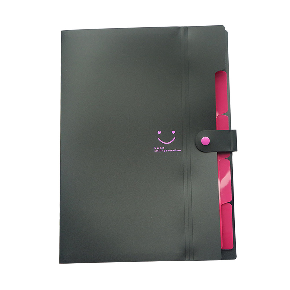 Carpeta de Archivo Expandible  - Home Office Organization reseña y precio